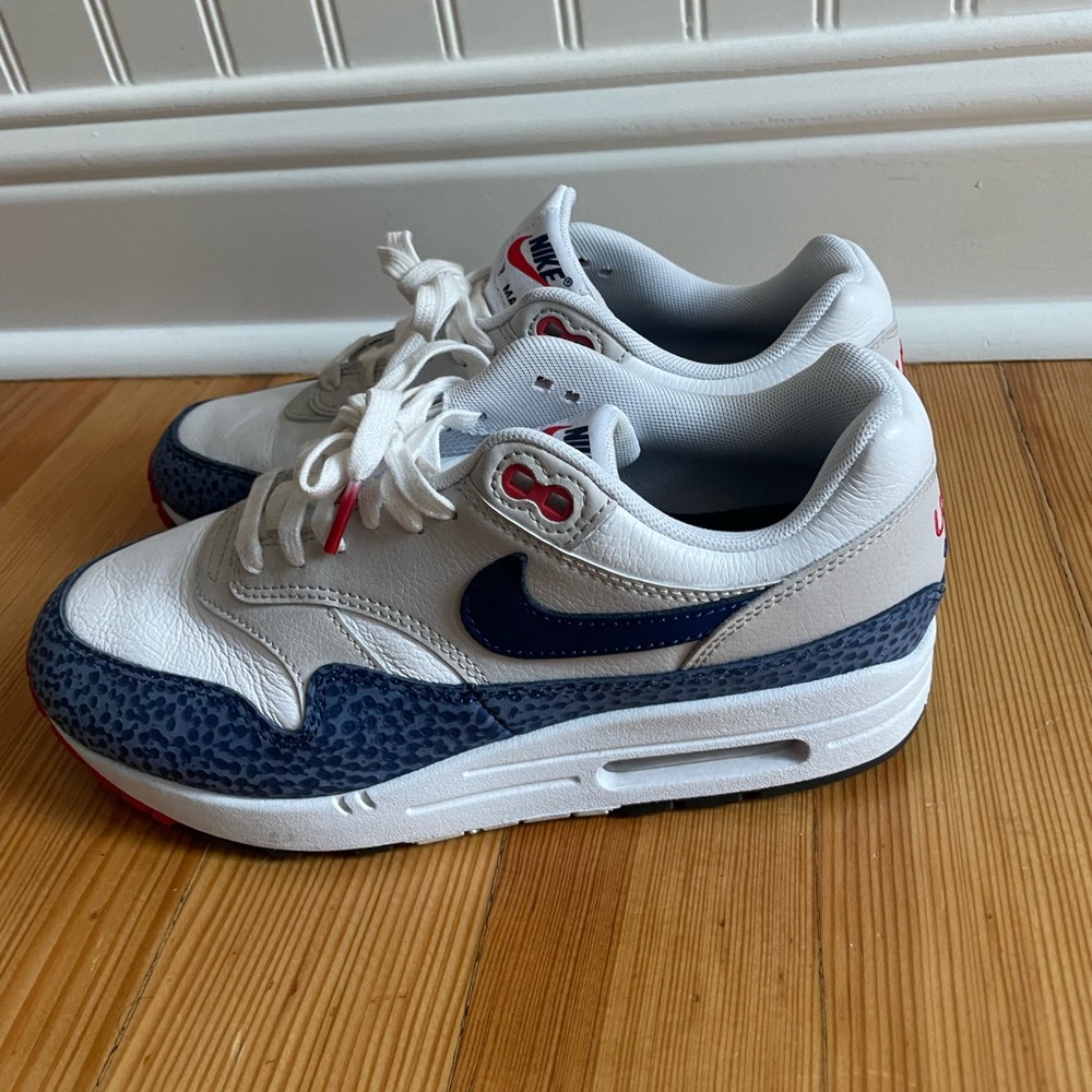 Team USA Nike AirMax sneakers